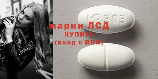 шишки Горняк