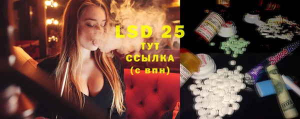 шишки Горняк