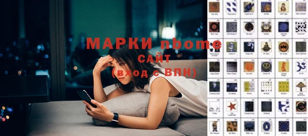 шишки Горняк