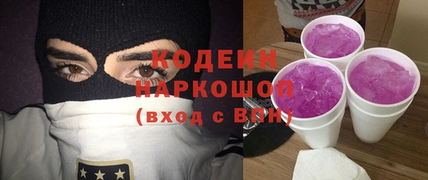 шишки Горняк