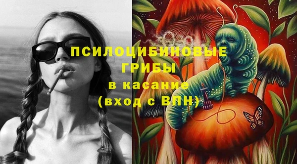 стафф Горно-Алтайск