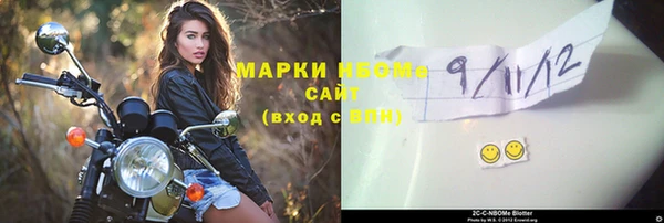 шишки Горняк