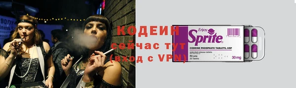 шишки Горняк