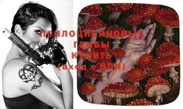 стафф Горно-Алтайск