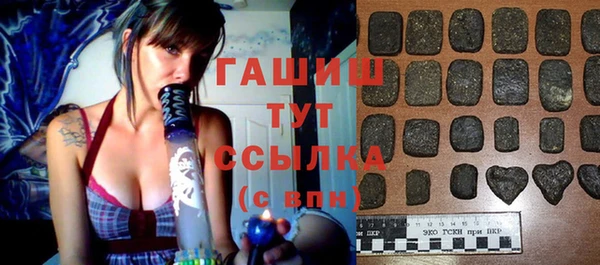шишки Горняк