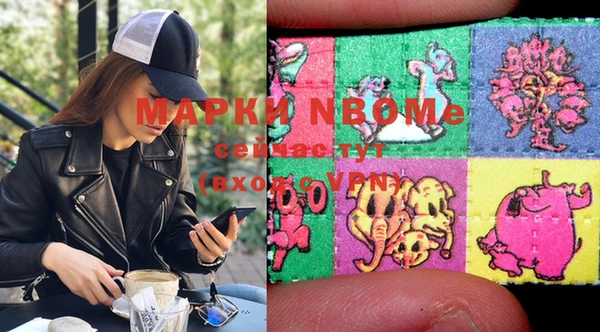 шишки Горняк