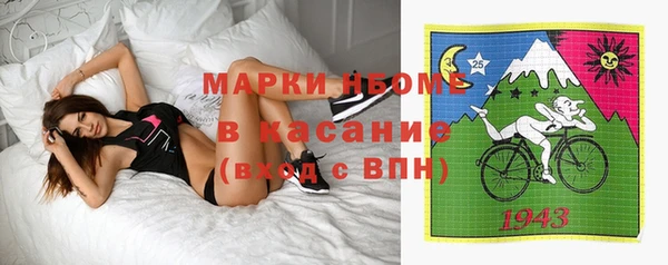 шишки Горняк