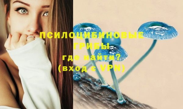 стафф Горно-Алтайск
