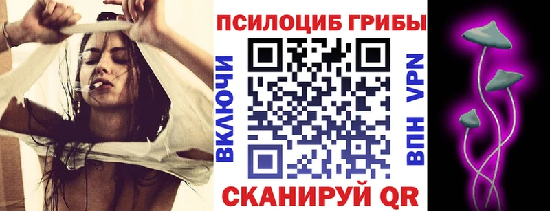 Купить закладки  Тарко-Сале  Галлюциногенные грибы прущие грибы 